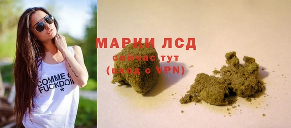 трава Михайловск
