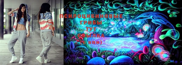 спиды Медногорск