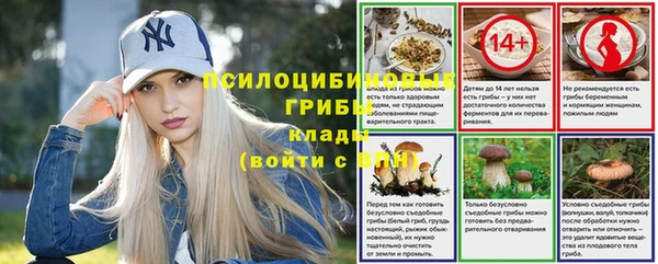 спиды Медногорск
