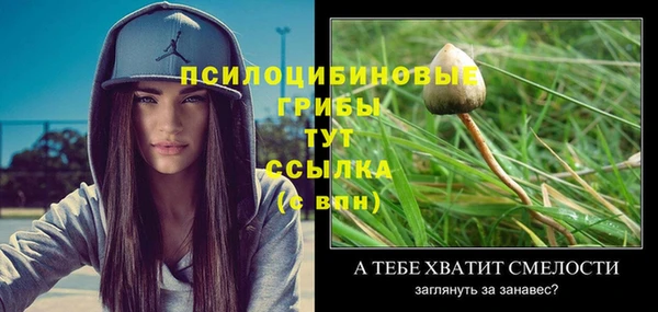 спиды Медногорск